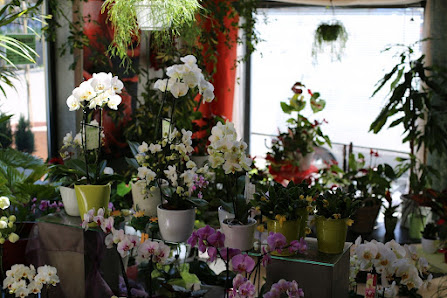 Dora Heritier Blumen- und Samenfachgeschäft