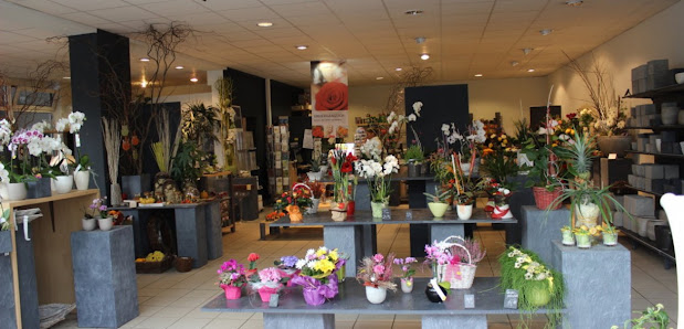 Blumen Jenner
