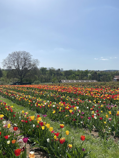 Blumenmarkt