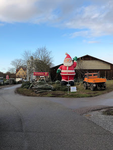 Tannengrün Schaible - Weihnachtsbäume 🎄, Schnittgrün, Kranzbinderei