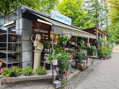 Blumen an der Trabrennbahn zum Floristik Pavillon Lieferung