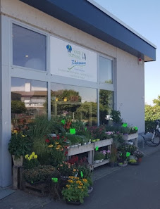 Floristik & Gärtnerei Rückemann