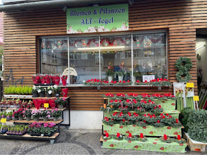Blumen&Pflanzen Alt-Tegel