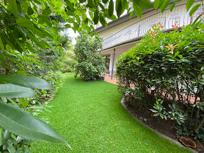 GARTENBAU LEIMEN