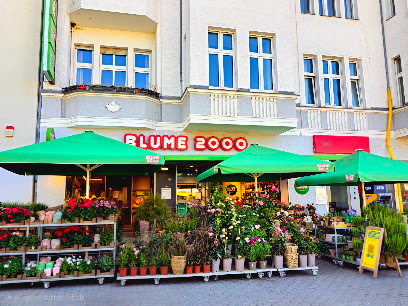 BLUME2000 Berlin Tegel