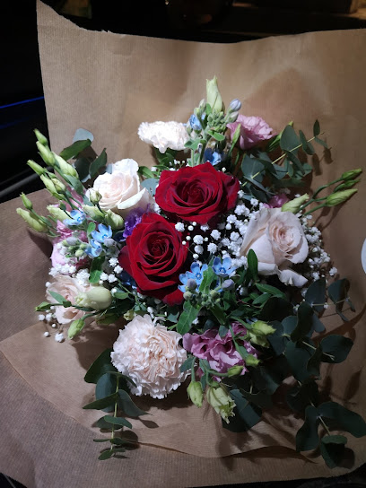 Blume Exclusiv