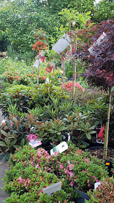 Preiss-Gartencenter