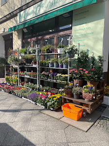 Blumen und Pflanzen