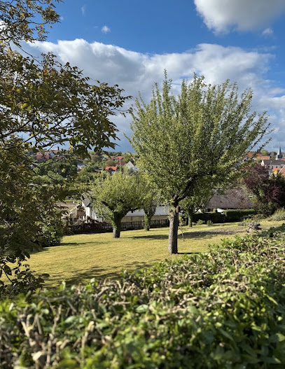 Grün und Sauber Gartenpflege