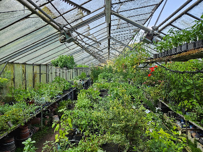 Bioland Gärtnerei Dieter Haas
