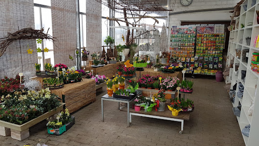Gartencenter Scheuermann GmbH