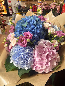 Blumen und Pflanzen
