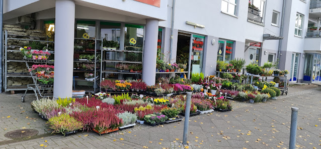 Blumen und Pflanzen