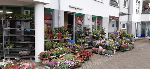 Blumen und Pflanzen