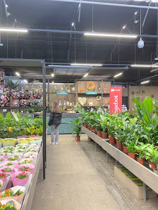 Pflanzen Mauk Gartencenter GmbH