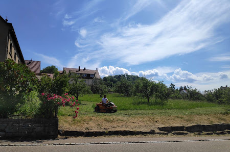 Steiger Gärten