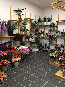 Blumenhaus