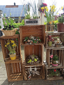 Sviti's Blumenzauber