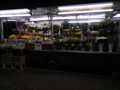 Blumen Eckert