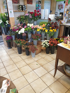 Blumen Schmutz