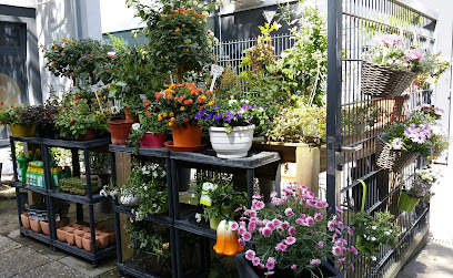 Floraldesign & Ambiente Blumenfachgeschäft mit FLEUROP