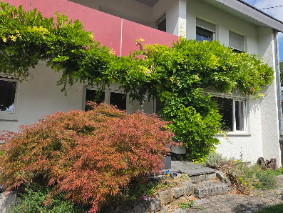 Luke & Lukas Haus & Gartenservice