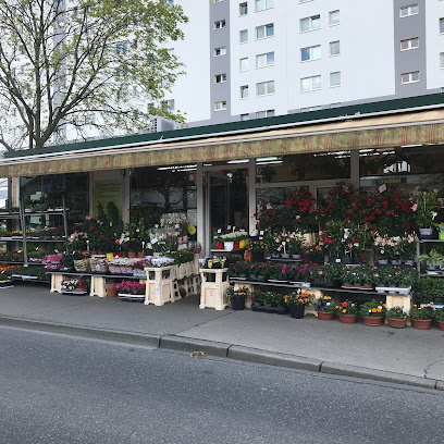 Orchideen Blumenladen