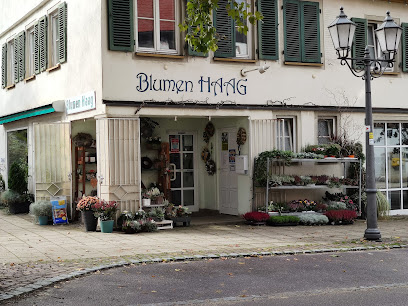 Blumen Haag
