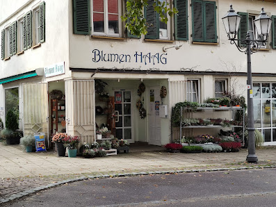 Blumen Haag