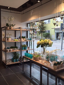 Blumen Elser GmbH