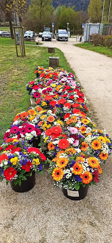 Eveline Wolf Blumenwerkstätte