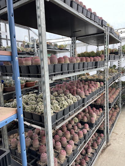 Blumengeschäft