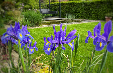 Gartenplanung Fior di Pianta