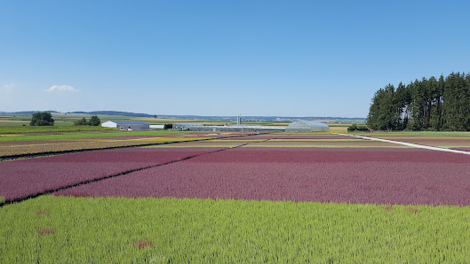 Haufe Gartenbau GbR