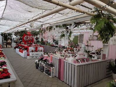 Wurster Blumen und Pflanzen