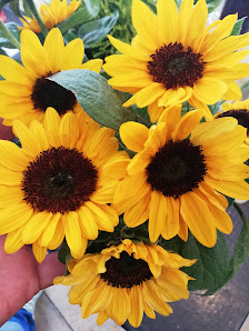 Blumen Füss GmbH