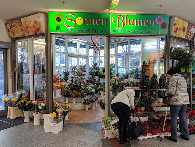 Sonnen-Blumen