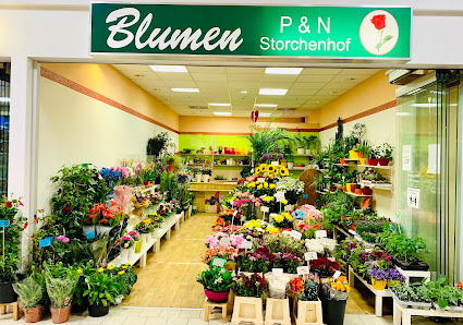 Blumen P&N