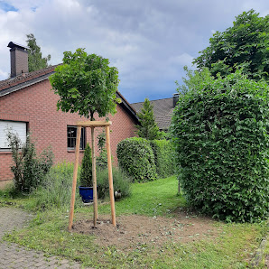 Welzel Gartengestaltung Inh. Malte Welzel