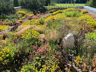 Treffpunkt Garten | Garten- & Landschaftsbau Nicolas Eichin