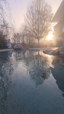Winter Gartenbau GmbH