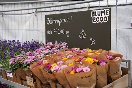 Blumenshop - Blume2000