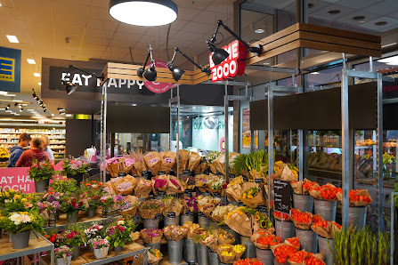 Blumenshop - Blume2000