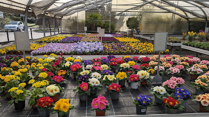 Blumen Schorer GbR