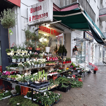 Blumen & Pflanzen