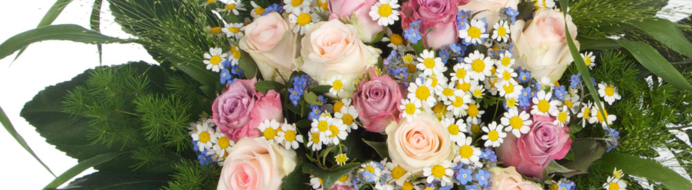 Blumen am Park