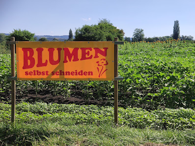 Blumen selbst schneiden