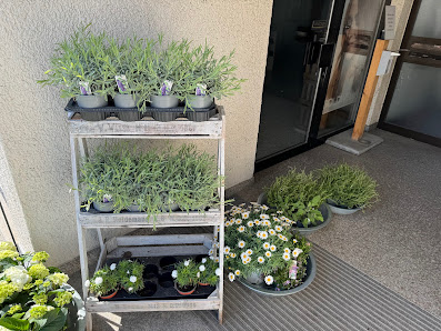 Zauberwerkstatt Blumen Meschenmoser