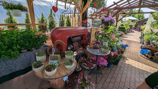 Ulli’s Gartenecke