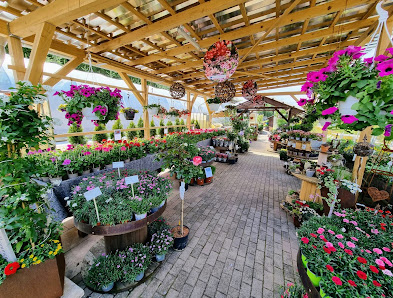 Ulli’s Gartenecke
